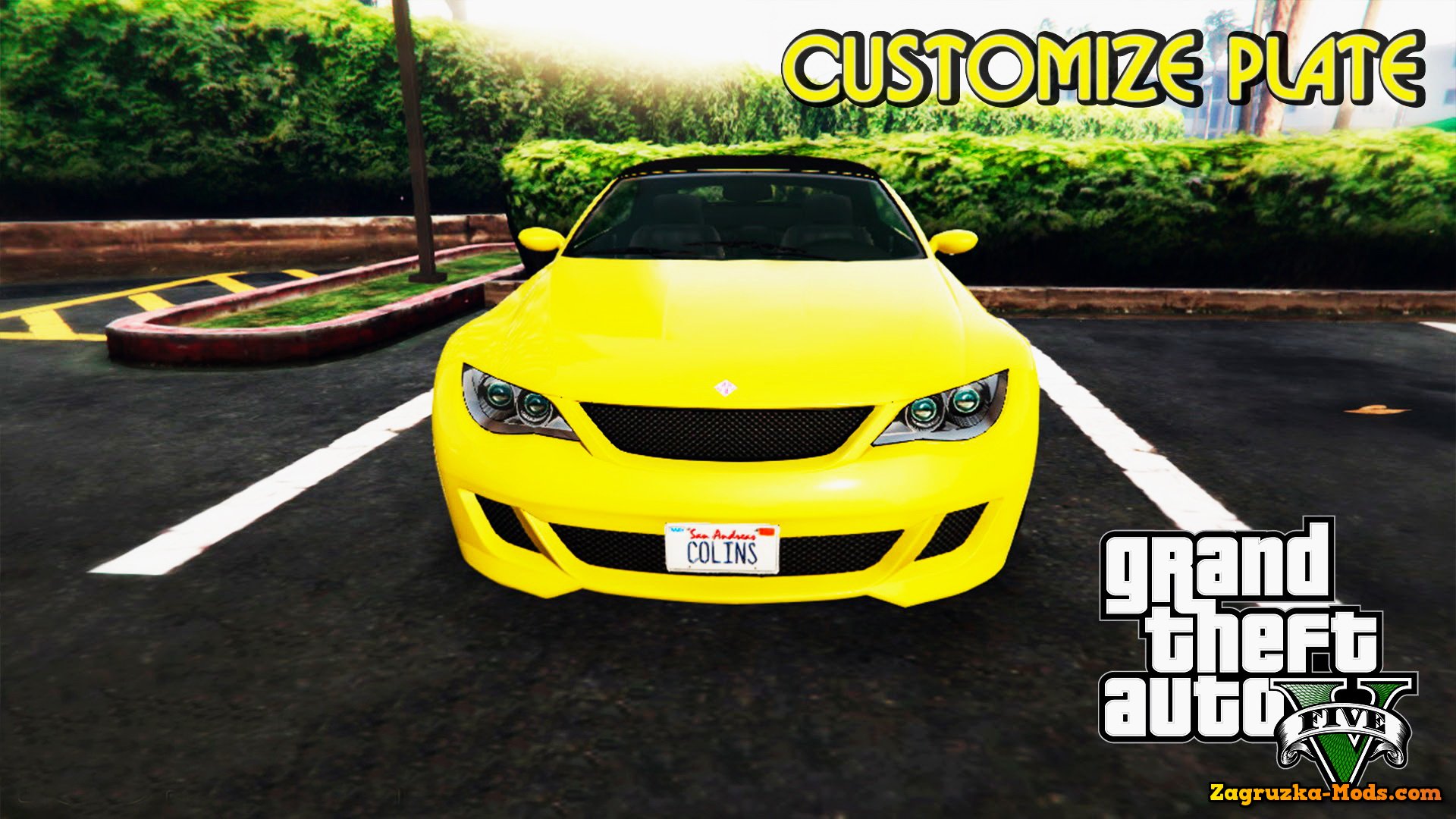 Customize Plate v1.0 for GTA 5