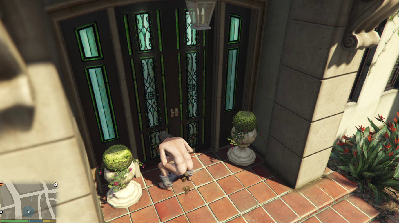 HDN mod v1.2.4 for GTA 5