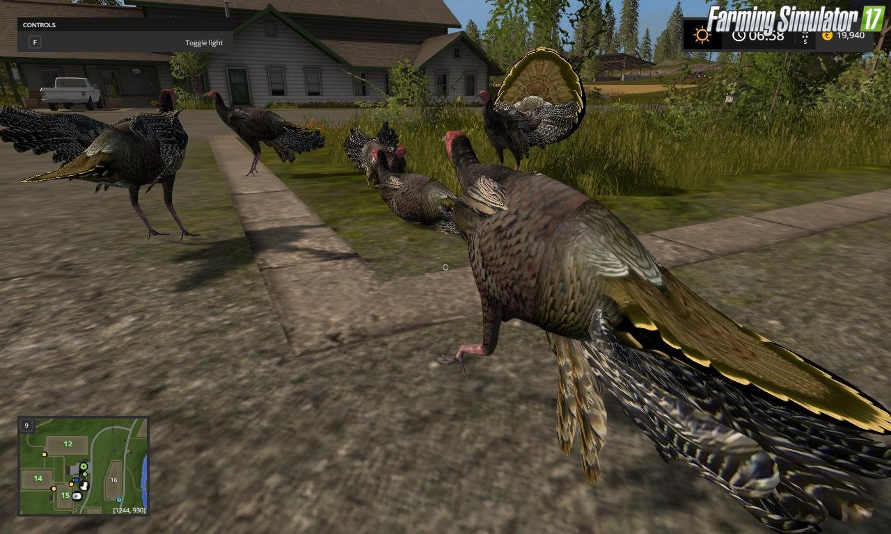 Turkeys for Fs17