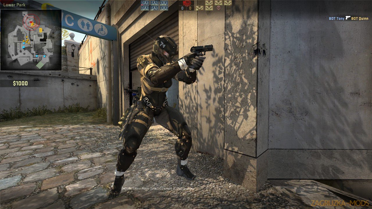 MGS4 Frog Players Skin v1.0 for CS:GO