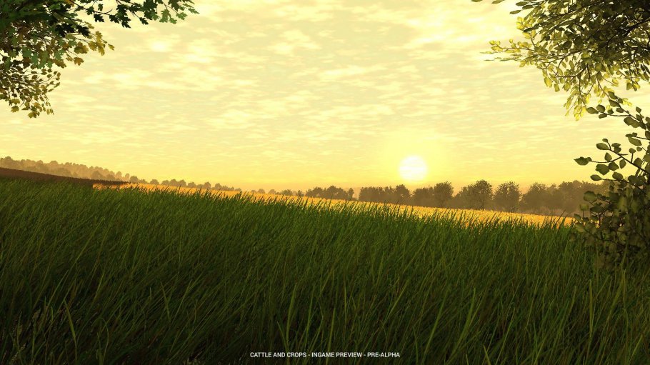 Cattle & Crop