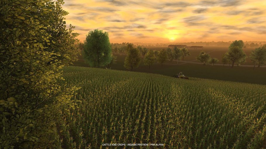 Cattle & Crop