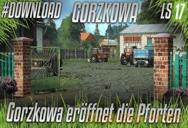 GORZKOWA V3.0 2K17 MULTIFRUIT