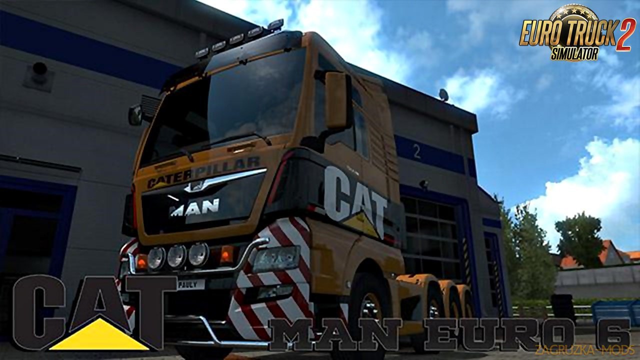 CAT Skin for MAN Euro 6