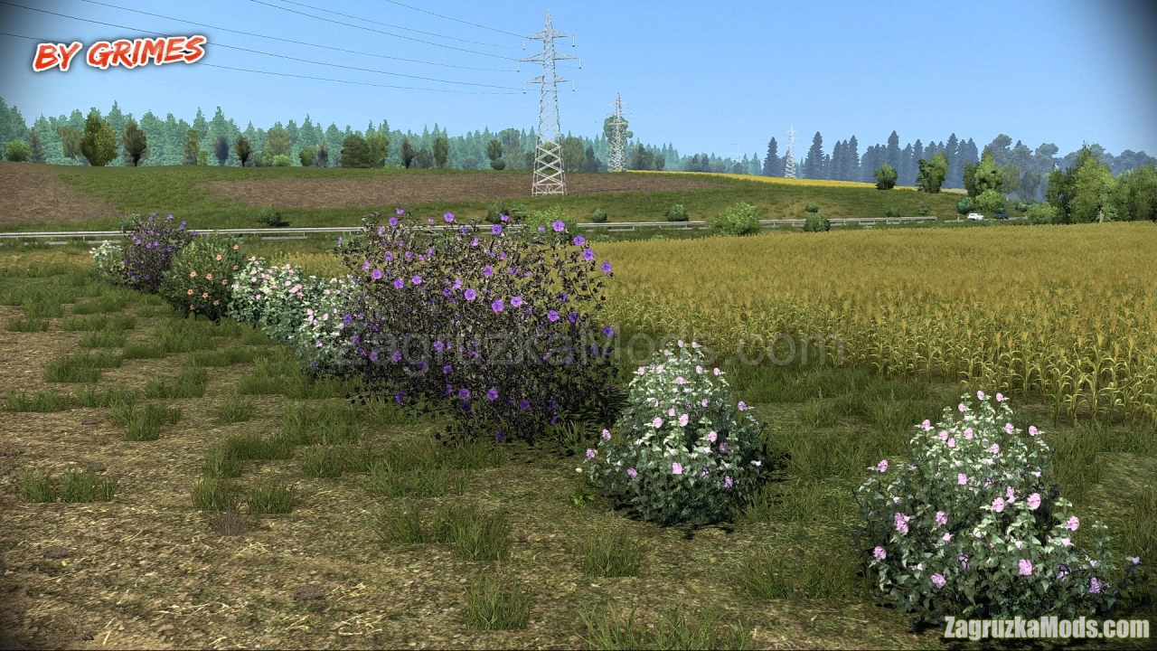 New Summer Environment v5.3 by Grimes (1.48.x) for ETS2