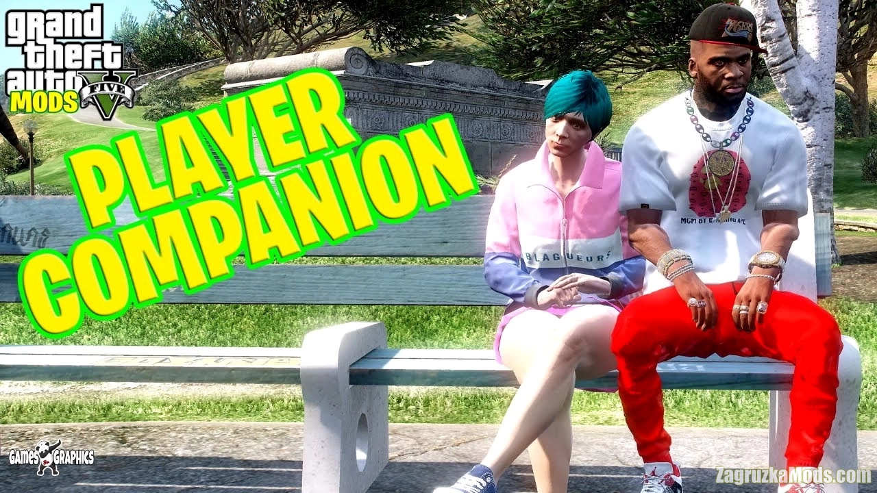 Player Companion v13.0 for GTA 5