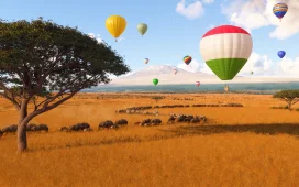 Microsoft Flight Simulator 2024