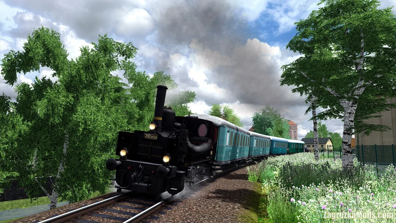 Locomotive Series ČSD 310.0134 v1.0 for TSC Locomotive Series ČSD 310.0134 v1.0 for TSC
