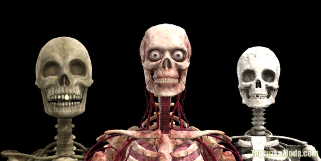 Skeleton Pack Players Models v2.0 for Counter-Strike 2