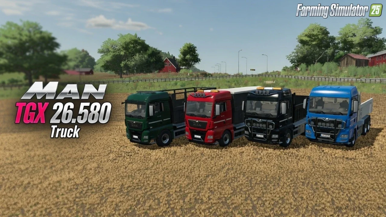 Man TGX 26.580 Truck v1.0 for FS25