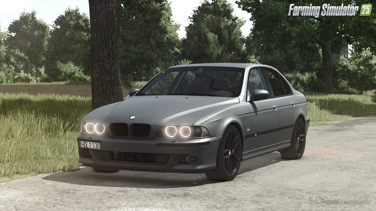 BMW E39 530D v1.5.0.2 for FS25