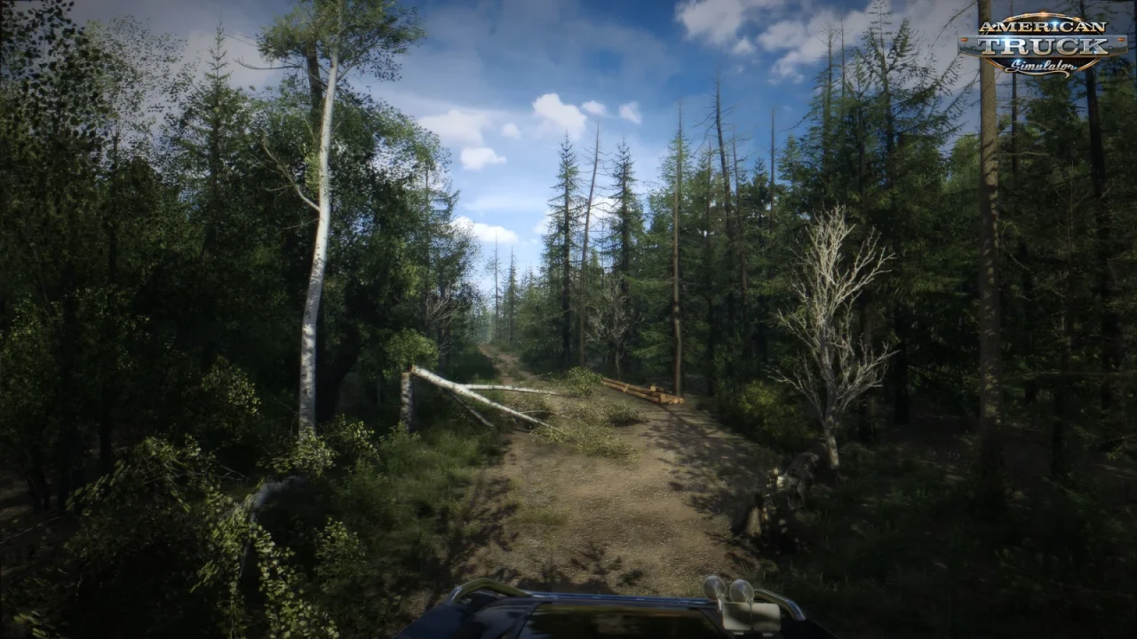 Natural Graphics Reshade v3.0 (1.60.x) for ATS